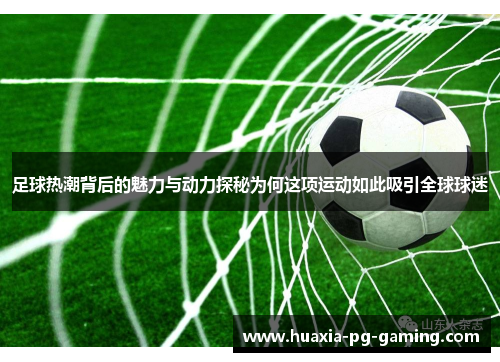 足球热潮背后的魅力与动力探秘为何这项运动如此吸引全球球迷