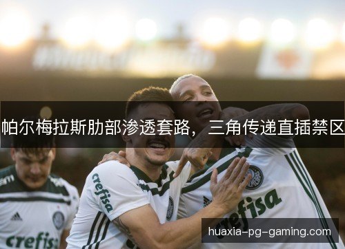 帕尔梅拉斯肋部渗透套路,三角传递直插禁区 帕尔梅拉斯肋部渗透套路,三角传递直插禁区